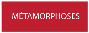cartouche projet metamorphoses