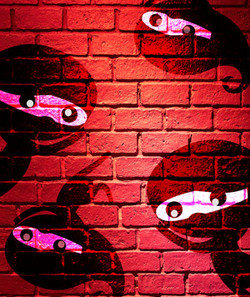 La vie dans les murs